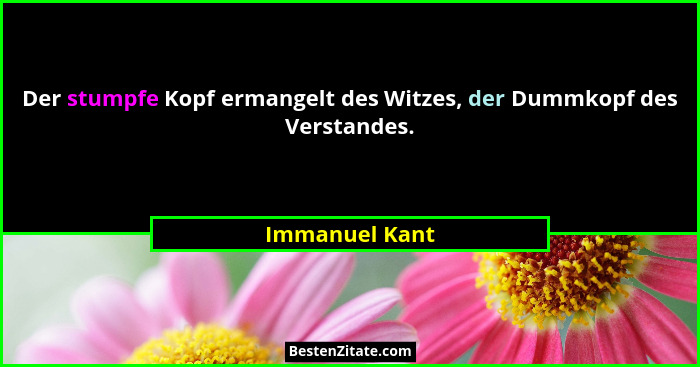 Der stumpfe Kopf ermangelt des Witzes, der Dummkopf des Verstandes.... - Immanuel Kant