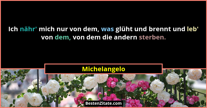 Ich nähr' mich nur von dem, was glüht und brennt und leb' von dem, von dem die andern sterben.... - Michelangelo