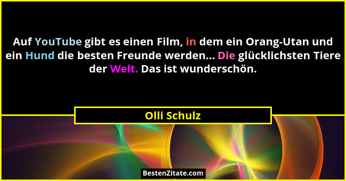 Auf YouTube gibt es einen Film, in dem ein Orang-Utan und ein Hund die besten Freunde werden... Die glücklichsten Tiere der Welt. Das is... - Olli Schulz