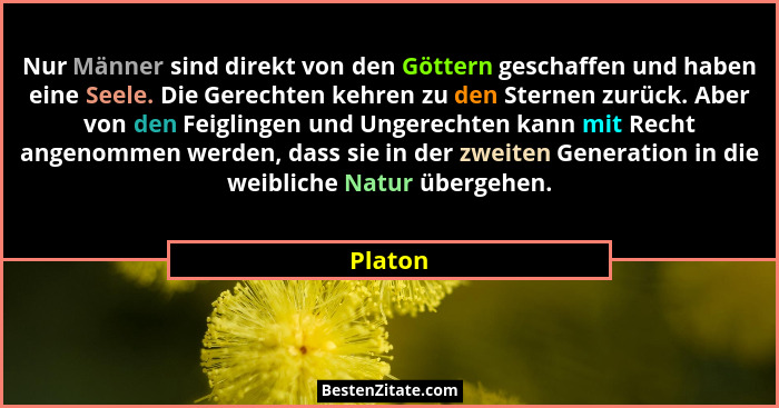 Nur Männer sind direkt von den Göttern geschaffen und haben eine Seele. Die Gerechten kehren zu den Sternen zurück. Aber von den Feiglingen u... - Platon