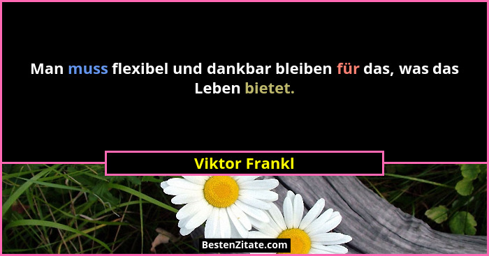 Man muss flexibel und dankbar bleiben für das, was das Leben bietet.... - Viktor Frankl