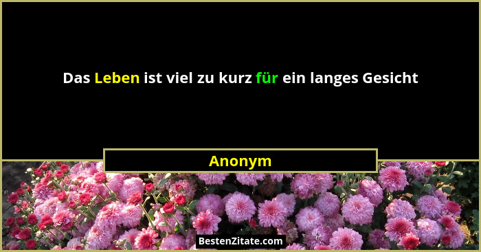 Das Leben ist viel zu kurz für ein langes Gesicht... - Anonym