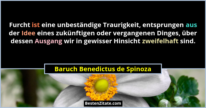Furcht ist eine unbeständige Traurigkeit, entsprungen aus der Idee eines zukünftigen oder vergangenen Dinges, über dess... - Baruch Benedictus de Spinoza