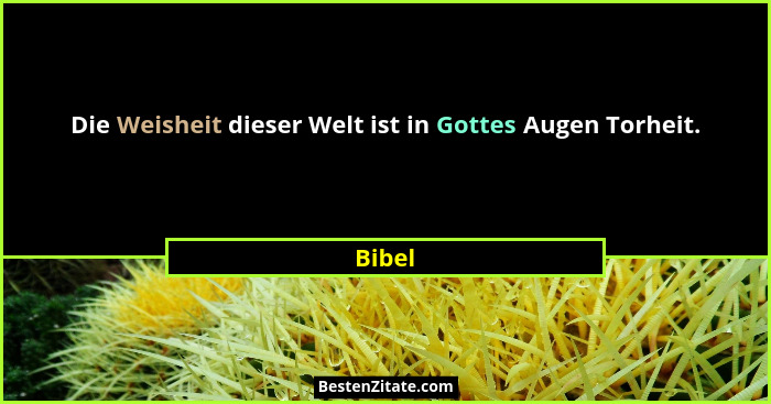 Die Weisheit dieser Welt ist in Gottes Augen Torheit.... - Bibel