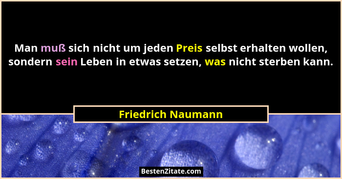 Man muß sich nicht um jeden Preis selbst erhalten wollen, sondern sein Leben in etwas setzen, was nicht sterben kann.... - Friedrich Naumann