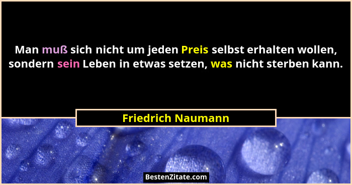 Man muß sich nicht um jeden Preis selbst erhalten wollen, sondern sein Leben in etwas setzen, was nicht sterben kann.... - Friedrich Naumann