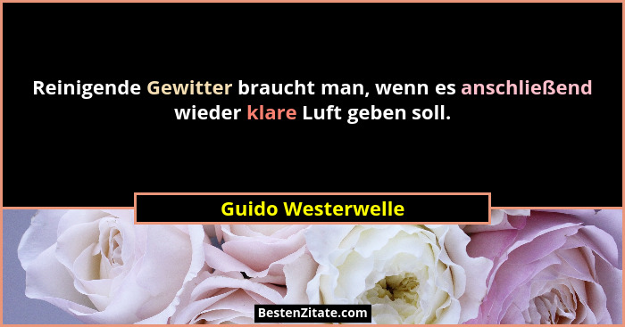 Reinigende Gewitter braucht man, wenn es anschließend wieder klare Luft geben soll.... - Guido Westerwelle