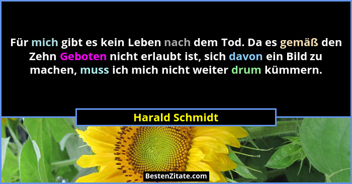 Für mich gibt es kein Leben nach dem Tod. Da es gemäß den Zehn Geboten nicht erlaubt ist, sich davon ein Bild zu machen, muss ich mic... - Harald Schmidt