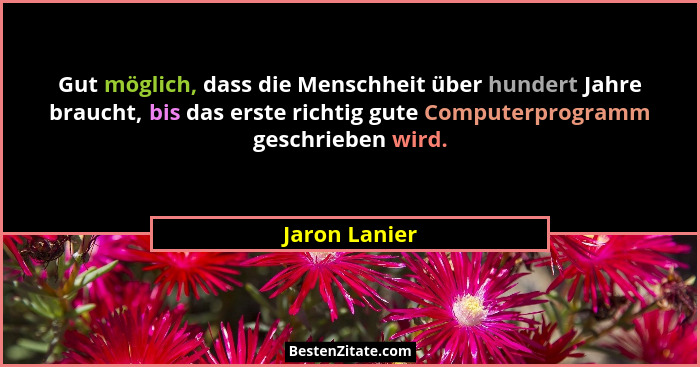 Gut möglich, dass die Menschheit über hundert Jahre braucht, bis das erste richtig gute Computerprogramm geschrieben wird.... - Jaron Lanier