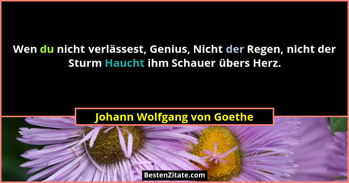 Wen du nicht verlässest, Genius, Nicht der Regen, nicht der Sturm Haucht ihm Schauer übers Herz.... - Johann Wolfgang von Goethe