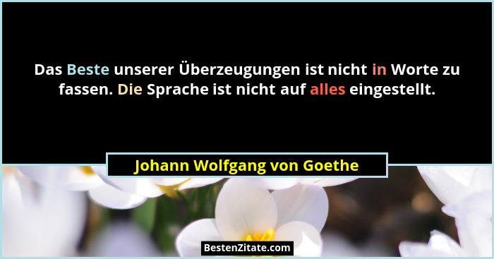 Das Beste unserer Überzeugungen ist nicht in Worte zu fassen. Die Sprache ist nicht auf alles eingestellt.... - Johann Wolfgang von Goethe