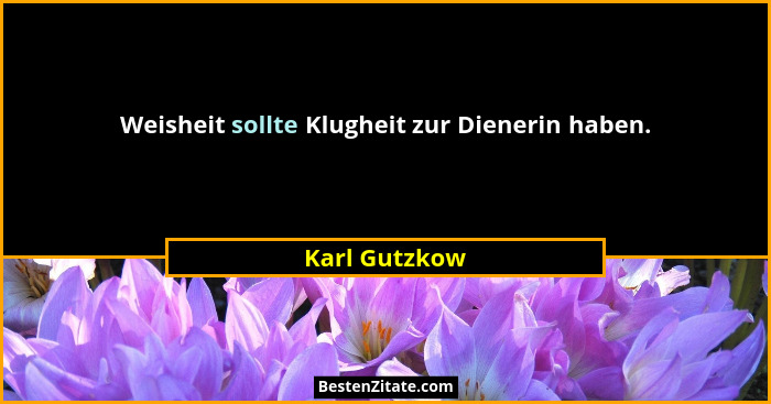 Weisheit sollte Klugheit zur Dienerin haben.... - Karl Gutzkow