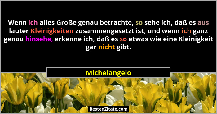 Wenn ich alles Große genau betrachte, so sehe ich, daß es aus lauter Kleinigkeiten zusammengesetzt ist, und wenn ich ganz genau hinsehe... - Michelangelo