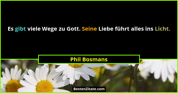 Es gibt viele Wege zu Gott. Seine Liebe führt alles ins Licht.... - Phil Bosmans