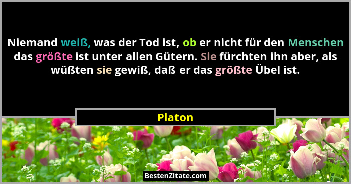 Niemand weiß, was der Tod ist, ob er nicht für den Menschen das größte ist unter allen Gütern. Sie fürchten ihn aber, als wüßten sie gewiß, d... - Platon