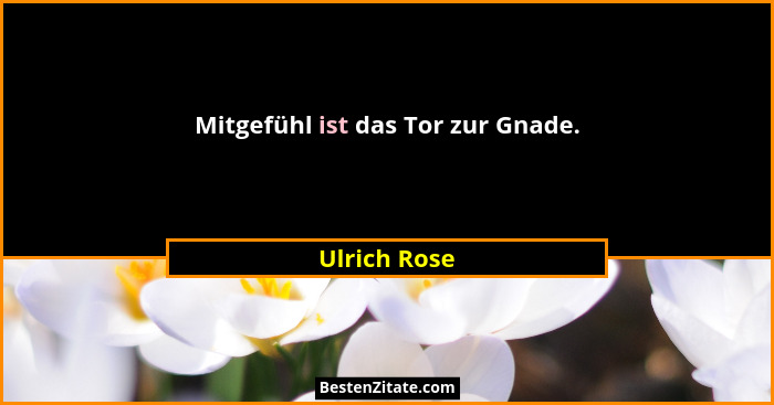 Mitgefühl ist das Tor zur Gnade.... - Ulrich Rose