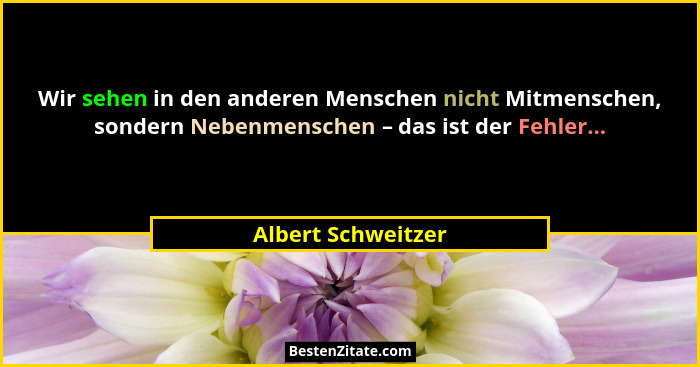 Wir sehen in den anderen Menschen nicht Mitmenschen, sondern Nebenmenschen – das ist der Fehler...... - Albert Schweitzer