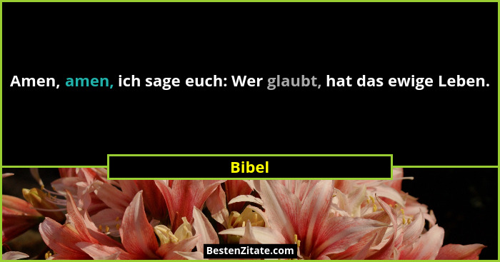 Amen, amen, ich sage euch: Wer glaubt, hat das ewige Leben.... - Bibel