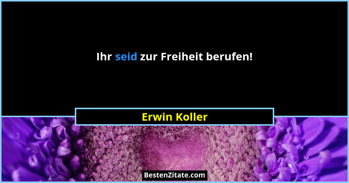 Ihr seid zur Freiheit berufen!... - Erwin Koller