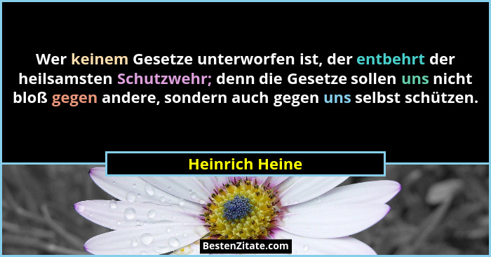 Wer keinem Gesetze unterworfen ist, der entbehrt der heilsamsten Schutzwehr; denn die Gesetze sollen uns nicht bloß gegen andere, son... - Heinrich Heine