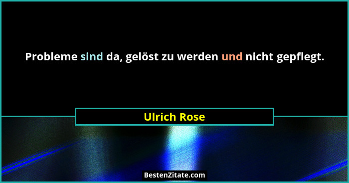 Probleme sind da, gelöst zu werden und nicht gepflegt.... - Ulrich Rose