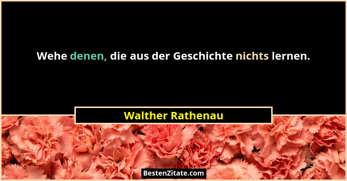Wehe denen, die aus der Geschichte nichts lernen.... - Walther Rathenau