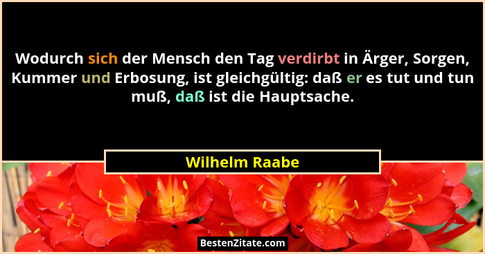 Wodurch sich der Mensch den Tag verdirbt in Ärger, Sorgen, Kummer und Erbosung, ist gleichgültig: daß er es tut und tun muß, daß ist d... - Wilhelm Raabe