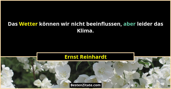 Das Wetter können wir nicht beeinflussen, aber leider das Klima.... - Ernst Reinhardt