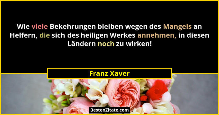 Wie viele Bekehrungen bleiben wegen des Mangels an Helfern, die sich des heiligen Werkes annehmen, in diesen Ländern noch zu wirken!... - Franz Xaver
