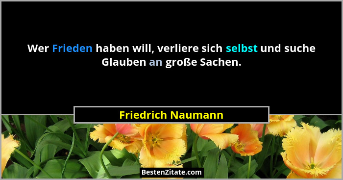 Wer Frieden haben will, verliere sich selbst und suche Glauben an große Sachen.... - Friedrich Naumann