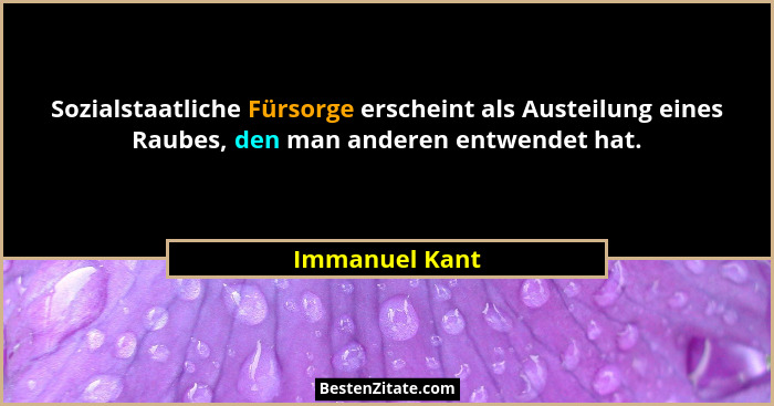 Sozialstaatliche Fürsorge erscheint als Austeilung eines Raubes, den man anderen entwendet hat.... - Immanuel Kant