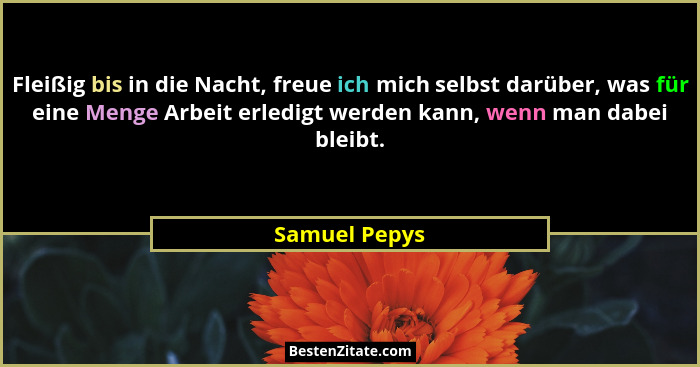 Fleißig bis in die Nacht, freue ich mich selbst darüber, was für eine Menge Arbeit erledigt werden kann, wenn man dabei bleibt.... - Samuel Pepys