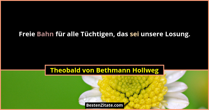 Freie Bahn für alle Tüchtigen, das sei unsere Losung.... - Theobald von Bethmann Hollweg