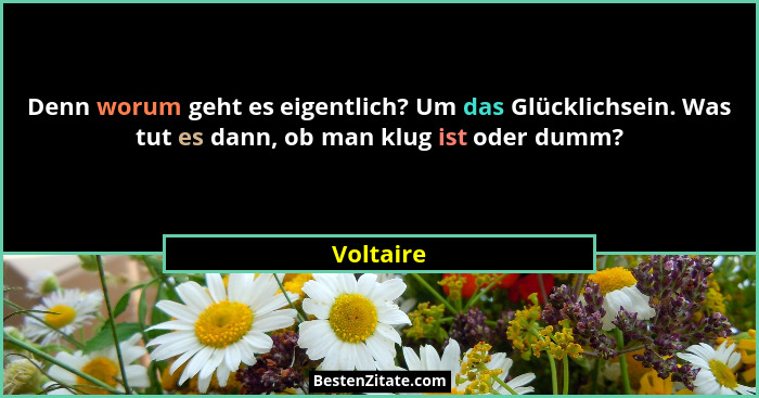 Denn worum geht es eigentlich? Um das Glücklichsein. Was tut es dann, ob man klug ist oder dumm?... - Voltaire