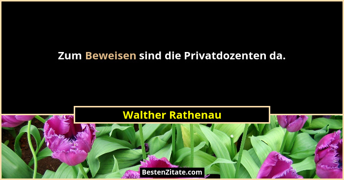 Zum Beweisen sind die Privatdozenten da.... - Walther Rathenau