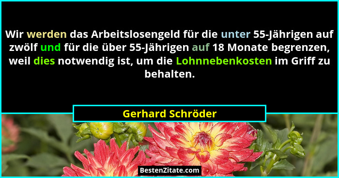 Wir werden das Arbeitslosengeld für die unter 55-Jährigen auf zwölf und für die über 55-Jährigen auf 18 Monate begrenzen, weil dies... - Gerhard Schröder