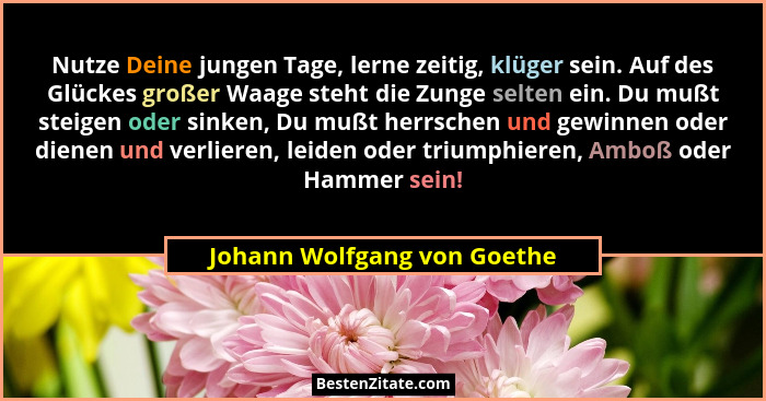 Johann Wolfgang Von Goethe Nutze Deine Jungen Tage Lerne