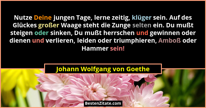 Nutze Deine jungen Tage, lerne zeitig, klüger sein. Auf des Glückes großer Waage steht die Zunge selten ein. Du mußt stei... - Johann Wolfgang von Goethe