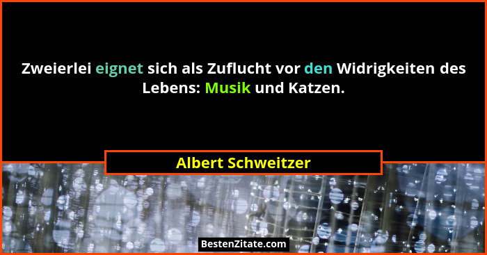 Zweierlei eignet sich als Zuflucht vor den Widrigkeiten des Lebens: Musik und Katzen.... - Albert Schweitzer