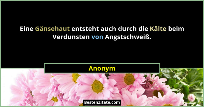Eine Gänsehaut entsteht auch durch die Kälte beim Verdunsten von Angstschweiß.... - Anonym