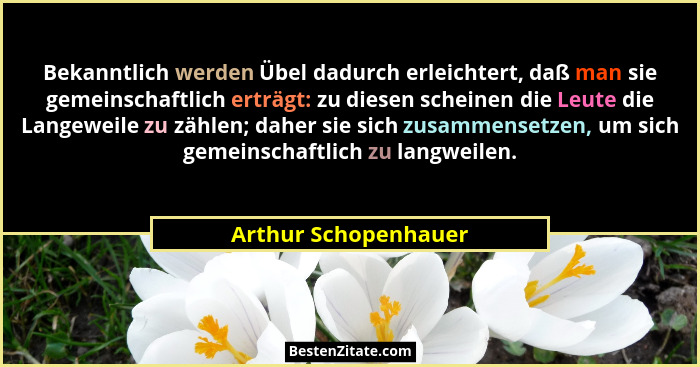 Bekanntlich werden Übel dadurch erleichtert, daß man sie gemeinschaftlich erträgt: zu diesen scheinen die Leute die Langeweile z... - Arthur Schopenhauer