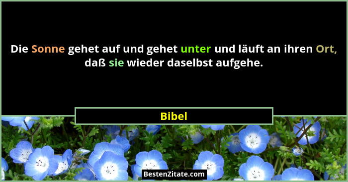 Die Sonne gehet auf und gehet unter und läuft an ihren Ort, daß sie wieder daselbst aufgehe.... - Bibel
