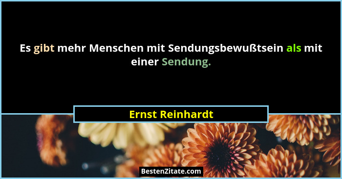 Es gibt mehr Menschen mit Sendungsbewußtsein als mit einer Sendung.... - Ernst Reinhardt