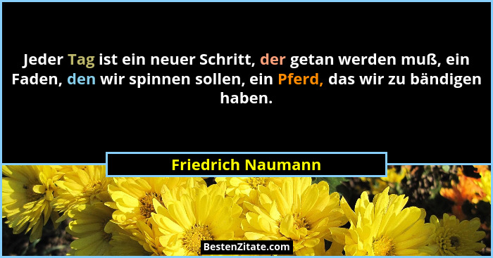 Jeder Tag ist ein neuer Schritt, der getan werden muß, ein Faden, den wir spinnen sollen, ein Pferd, das wir zu bändigen haben.... - Friedrich Naumann