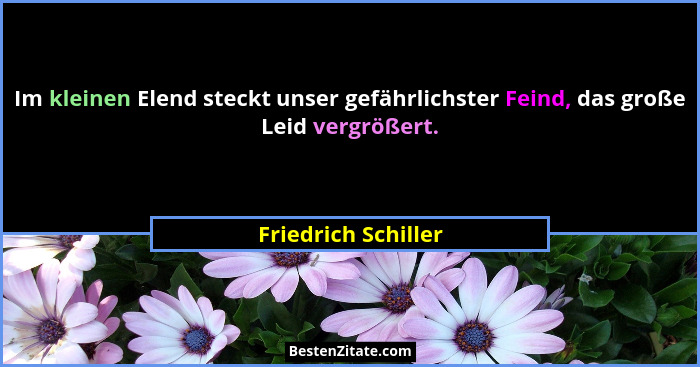 Im kleinen Elend steckt unser gefährlichster Feind, das große Leid vergrößert.... - Friedrich Schiller