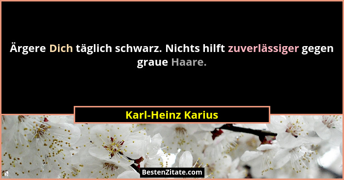 Ärgere Dich täglich schwarz. Nichts hilft zuverlässiger gegen graue Haare.... - Karl-Heinz Karius