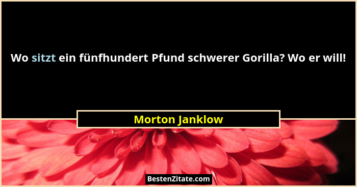 Wo sitzt ein fünfhundert Pfund schwerer Gorilla? Wo er will!... - Morton Janklow