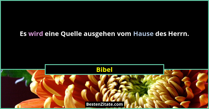 Es wird eine Quelle ausgehen vom Hause des Herrn.... - Bibel