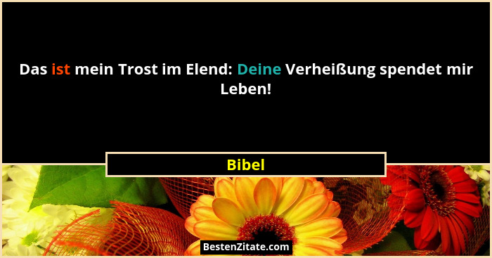 Das ist mein Trost im Elend: Deine Verheißung spendet mir Leben!... - Bibel