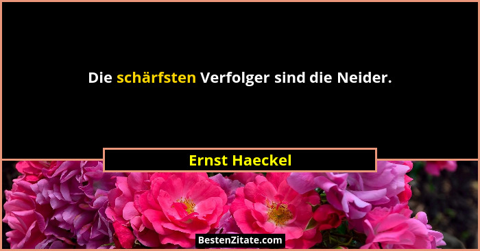 Die schärfsten Verfolger sind die Neider.... - Ernst Haeckel